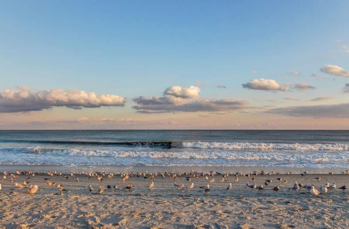 *Fantastic Sunsets Await* *Queen Beds *Great Pools, Hot Tubs+++*Nm61 미를 비치 외부 사진